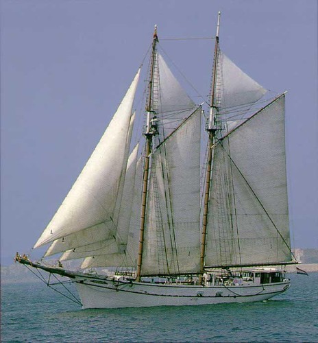 Now at the bottom of the English Channel © SW