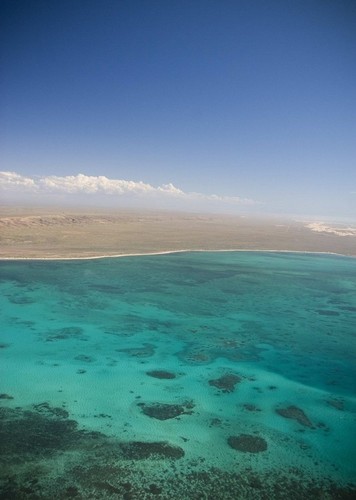 Ningaloo Reef. (Photo: Tony Howard, DEC) © Department of the Environment Water, heritage and the Arts http://www.environment.gov.au