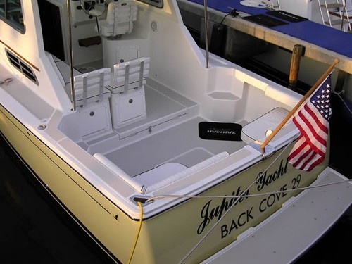 Back Cove 29 Hardtop  © Emarine http://www.emarine.com.au