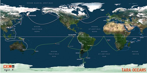 tara-oceans map © SW