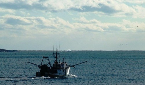 Cannot be relied upon to keep proper watch at sea © SW