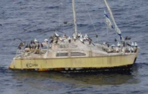 Richard Woods abandoned catamaran photo copyright SW taken at  and featuring the  class