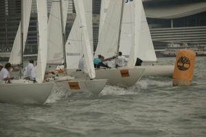 Lots of Etchells, not enough space! © Guy Nowell http://www.guynowell.com