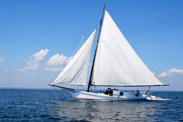 Skipjack Helen Virginia photo copyright SW taken at  and featuring the  class