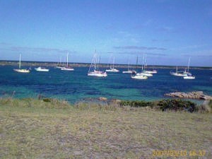 The majority of the fleet in Grassy Harbour.JPG photo copyright Troy Humphrey taken at  and featuring the  class