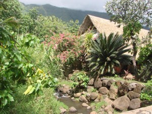 Web Nuku Hiva restaurant setting at Hatiheu Bay photo copyright BW Media taken at  and featuring the  class