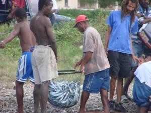 Web Pitons 500 Souffriere fish for tea photo copyright BW Media taken at  and featuring the  class