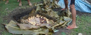 and here it is under the banana leaves photo copyright BW Media taken at  and featuring the  class