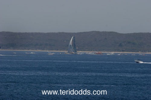 ABN AMRO ONE sails up Port Phillip Bay  2005-2006 Volvo Ocean Race © Teri Dodds http://www.teridodds.com