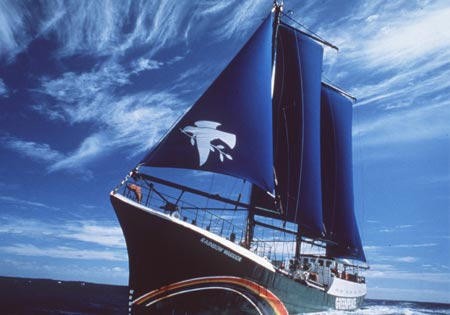 Rainbow Warrior II © SW