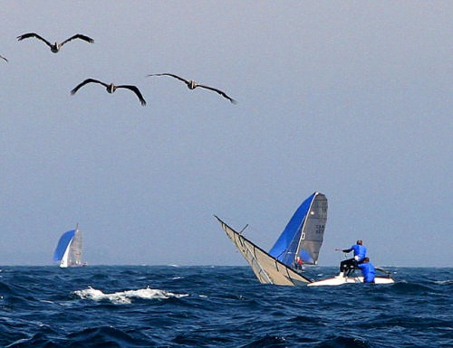 <b>Oh, to fly like a pelican! </b><br />
<br />
 © Rich Roberts http://www.UnderTheSunPhotos.com