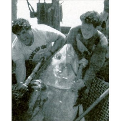 Favignana Tuna Hunt - days gone by © SW