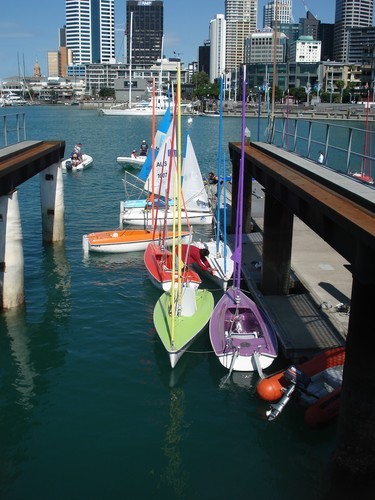 IFDS World Championships - Access dinghies lined up and ready to go © Colin Preston