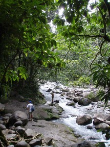 04 Guadeloupe Rainforest photo copyright Ian & Andrea Treleaven taken at  and featuring the  class