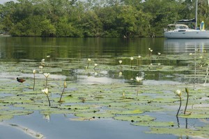 04 Texan Bay .JPG photo copyright Ian & Andrea Treleaven taken at  and featuring the  class