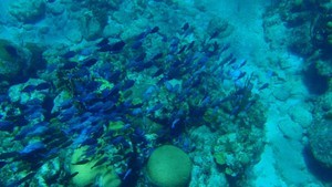 09 Beautiful clear diving.JPG photo copyright Ian & Andrea Treleaven taken at  and featuring the  class