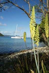 10 Aloe Vera flower.JPG photo copyright Ian & Andrea Treleaven taken at  and featuring the  class