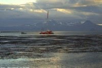 Veolia Environnement at Kerguelen Islands making repairs © Yann Libessart - Barcelona World Race photo copyright Barcelona World Race http://www.barcelonaworldrace.org taken at  and featuring the  class