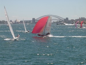 2008 I14 Nationals on Sydney Harbour photo copyright I14 Nationals /Kate Cooper http://www.i14nsw.org taken at  and featuring the  class