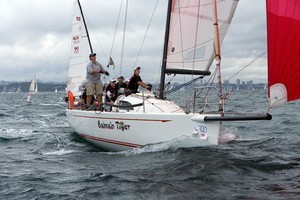 Audi Sydney Harbour Regatta 2009 - BALMAIN TIGER photo copyright  Andrea Francolini / Audi http://www.afrancolini.com taken at  and featuring the  class
