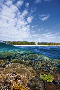 Coral islands can offer some of the greatest of all cruising experiences photo copyright SW taken at  and featuring the  class