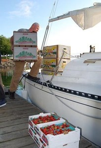 Dave Reid loading vegetables photo copyright SW taken at  and featuring the  class