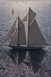 ELEONORA - Les Voiles de Saint-Tropez 2009 photo copyright  Rolex/ Kurt Arrigo http://www.regattanews.com taken at  and featuring the  class