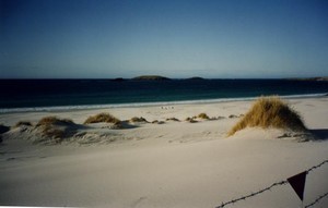 Falklands beach minefield photo copyright SW taken at  and featuring the  class