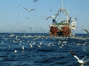 Fish Trawler photo copyright SW taken at  and featuring the  class