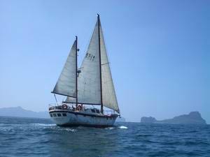 Haiti Karaka sailing photo copyright SW taken at  and featuring the  class