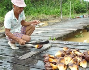 Knife sharpener photo copyright SW taken at  and featuring the  class