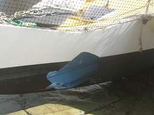 Loose Goose - whale strike photo copyright Lindsay Wright taken at  and featuring the  class