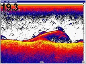 Lowrance Broadband Sounder-1 screenshot of hiding barra photo copyright Navico http://www.navico.com taken at  and featuring the  class