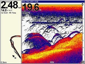Lowrance Broadband Sounder-1 screenshot of a hiding barra photo copyright Navico http://www.navico.com taken at  and featuring the  class