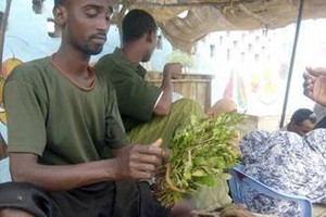 Market in Eyl - plenty to eat photo copyright SW taken at  and featuring the  class