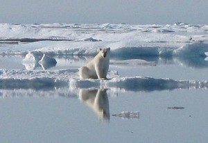 North West Passage polar bear by Eric Forsyth photo copyright SW taken at  and featuring the  class