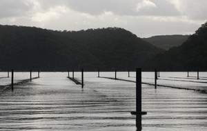 Oyster Beds photo copyright Powerboat-World.com http://www.powerboat-world.com taken at  and featuring the  class