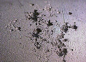 Close-up of pitting photo copyright SW taken at  and featuring the  class