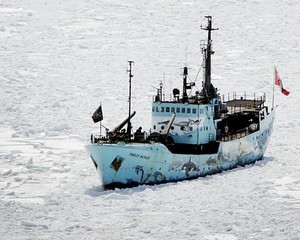 Robert Hunter before being repainted photo copyright SW taken at  and featuring the  class