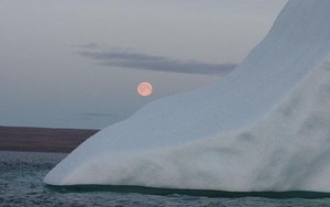 Silent Sound in the Arctic - photo by Dr Tobias Neuberger photo copyright SW taken at  and featuring the  class