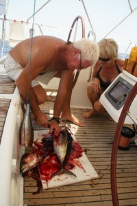 So much fish photo copyright Ian & Andrea Treleaven taken at  and featuring the  class