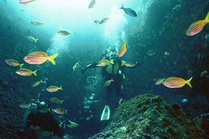 South West Rocks snorkelling photo copyright SW taken at  and featuring the  class