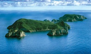 Whangarei Poor Knights Islands marine reserve photo copyright SW taken at  and featuring the  class