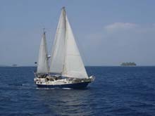 seeadler photo copyright SW taken at  and featuring the  class