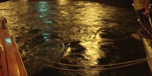 web churning water photo copyright BW Media taken at  and featuring the  class