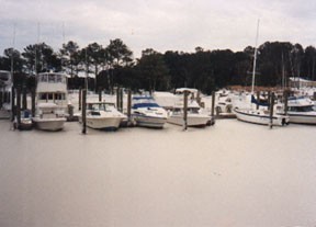 winter2 © SW