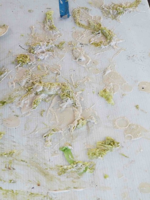 Propeller coating locked in clumps ready for environmentally responsible disposal - NanoShield FoulOff  © Edmund Lim