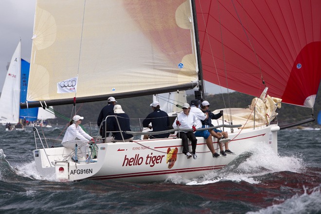Flying Tiger - Hello Tiger  ©  Andrea Francolini Photography http://www.afrancolini.com/