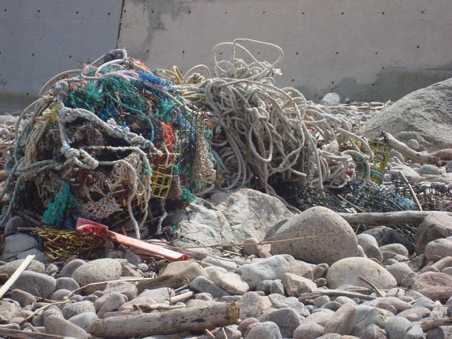 Fishermen and sailors should be careful of what they throw overboard © SW