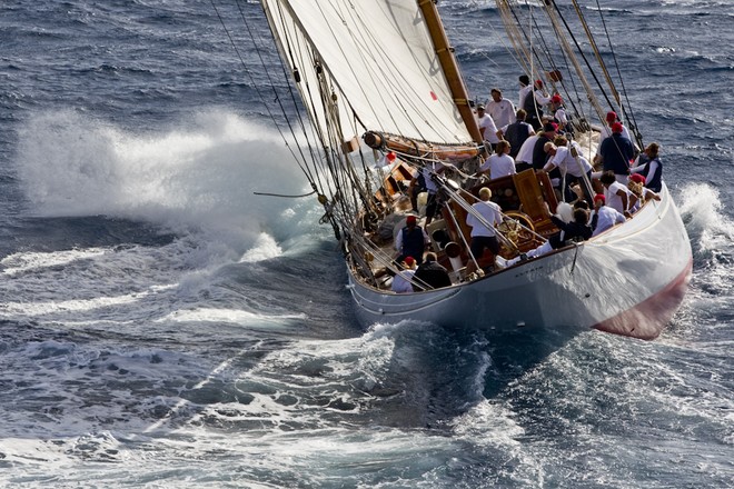 ALTAIR, Length: 39.21, Boat Type: GOELETTE AURIQUE, Shipyard: W. FIFE - Les Voiles de St Tropez ©  Rolex / Carlo Borlenghi http://www.carloborlenghi.net